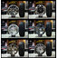 โปรโมชั่นส่งท้ายปี ล้อแม็กพร้อมยาง NITTO ทั้งชุดเพียง 25,900 บาท ล้อแม็กขอบ 20 นิ้ว สำหรับกระบะ 6รู พร้อมยาง 265-50 R20 NITTO NT421 ปี2017 พร้อมดูแลหลังการขายฟรี ทั้ง 7 สาขา!! โปรโมชั่นส่งท้ายปี ล้อแม็กพร้อมยาง #NITTO ทั้งชุดเพียง 25,900 บาท #โปรโครตคุ้ม 