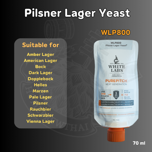 WLP800 Pilsner Lager Yeast® (70 ml) By Homebrewthai