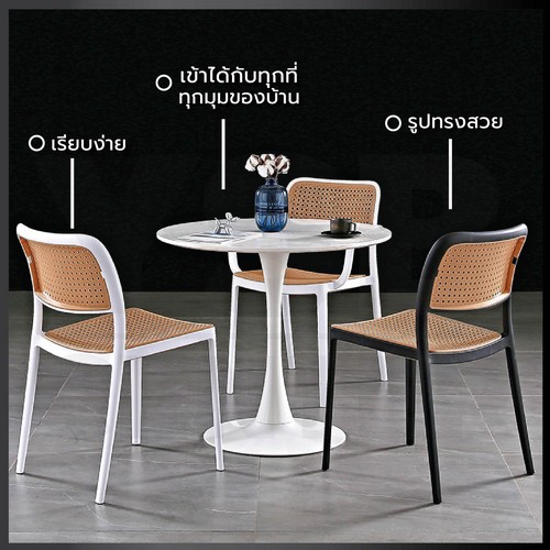 เก้าอี้พลาสติก เก้าอี้หวาย หวายเทียม เก้าอี้ร้านกาแฟ ร้านอาหาร สไตล์โมเดิร์น