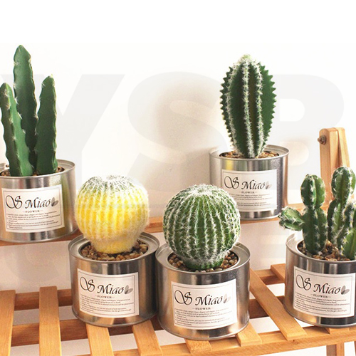 CASSA กระบองเพชร ต้นกระบองเพชร ต้นไม้ประดิษฐ์ ต้นไม้ปลอม พร้อมกระถาง รุ่น B587-C2