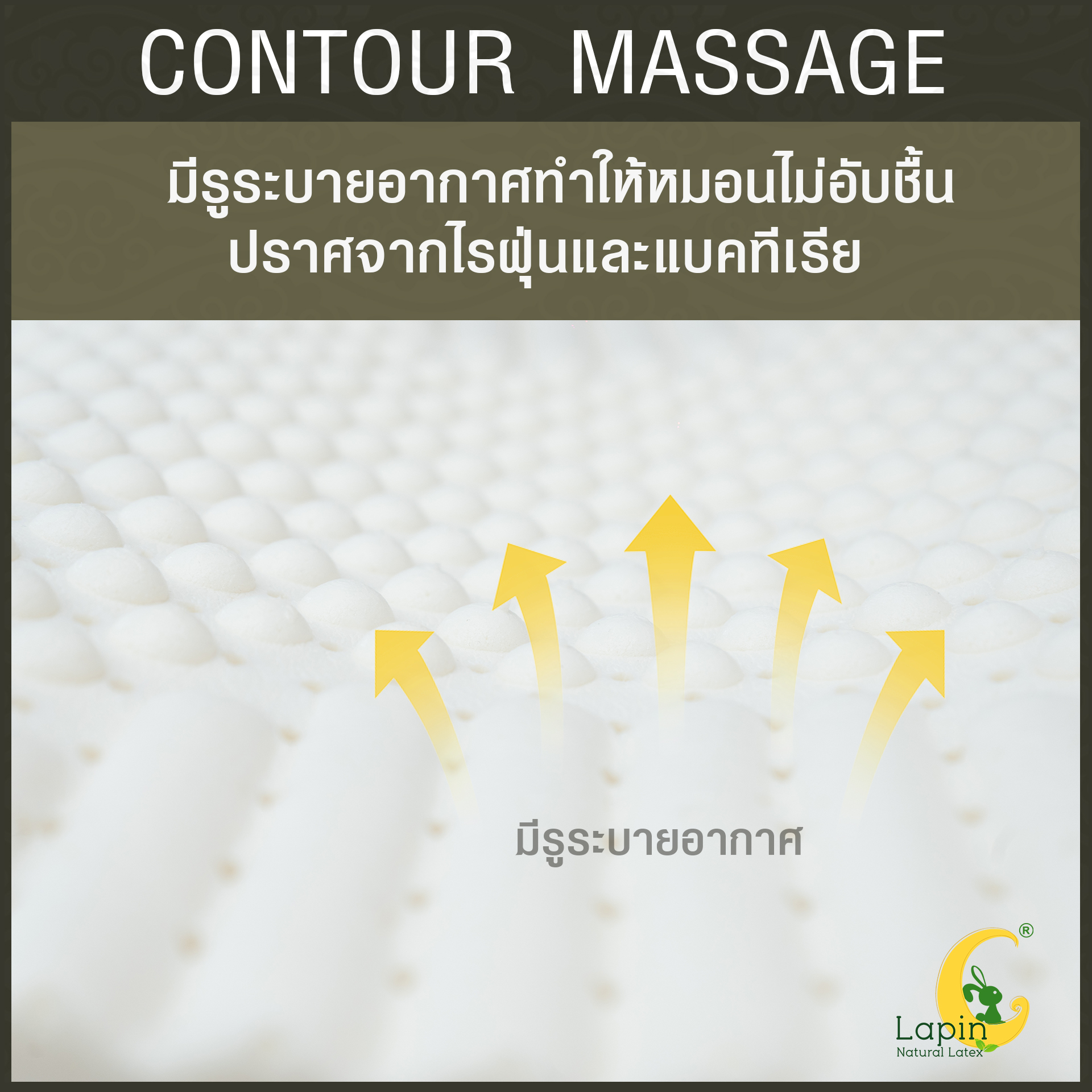 ชุดของขวัญ หมอนยางพาราแท้ 100% (LAPIN) รุ่น คอนทัวร์มาสสาจ (CM) 2 ใบ สุดคุ้ม