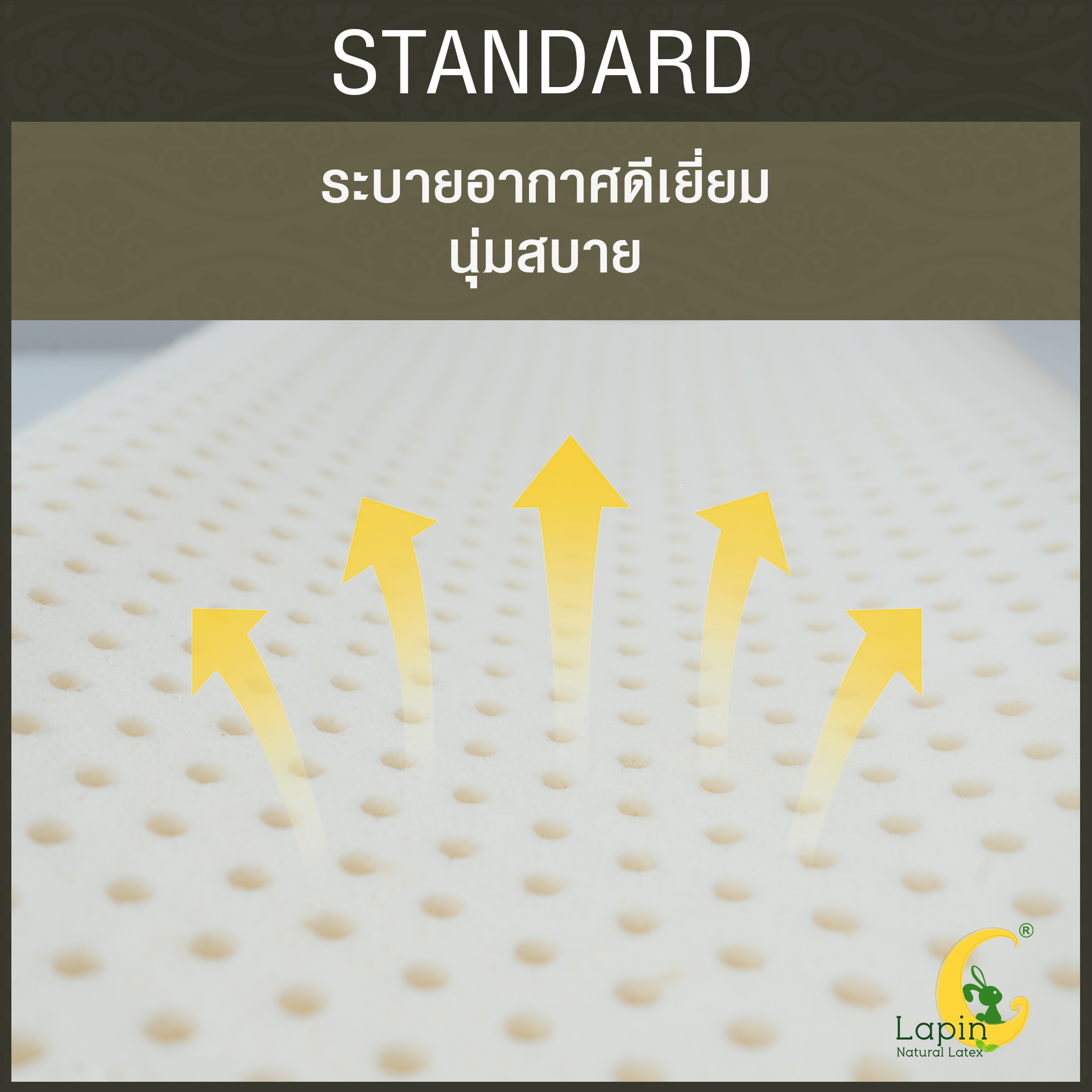 หมอนยางพาราแท้ 100% (LAPIN) รุ่น มาตรฐาน (S)