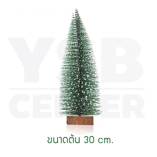 ต้นคริสต์มาสตกแต่ง ต้นคริสต์มาสปลอม Christmas Tree มาพร้อมไฟ LED ขนาด 30 cm B1S014 - B1S127