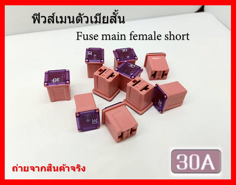 2 ชิ้น 30 แอมป์ DC 9V-32V.ฟิวส์เมนรถยนต์ PEC ตัวเมียสั้น ความสูง 16 มิล Fuse main female short สีชมพู Pink รหัส 9D3302