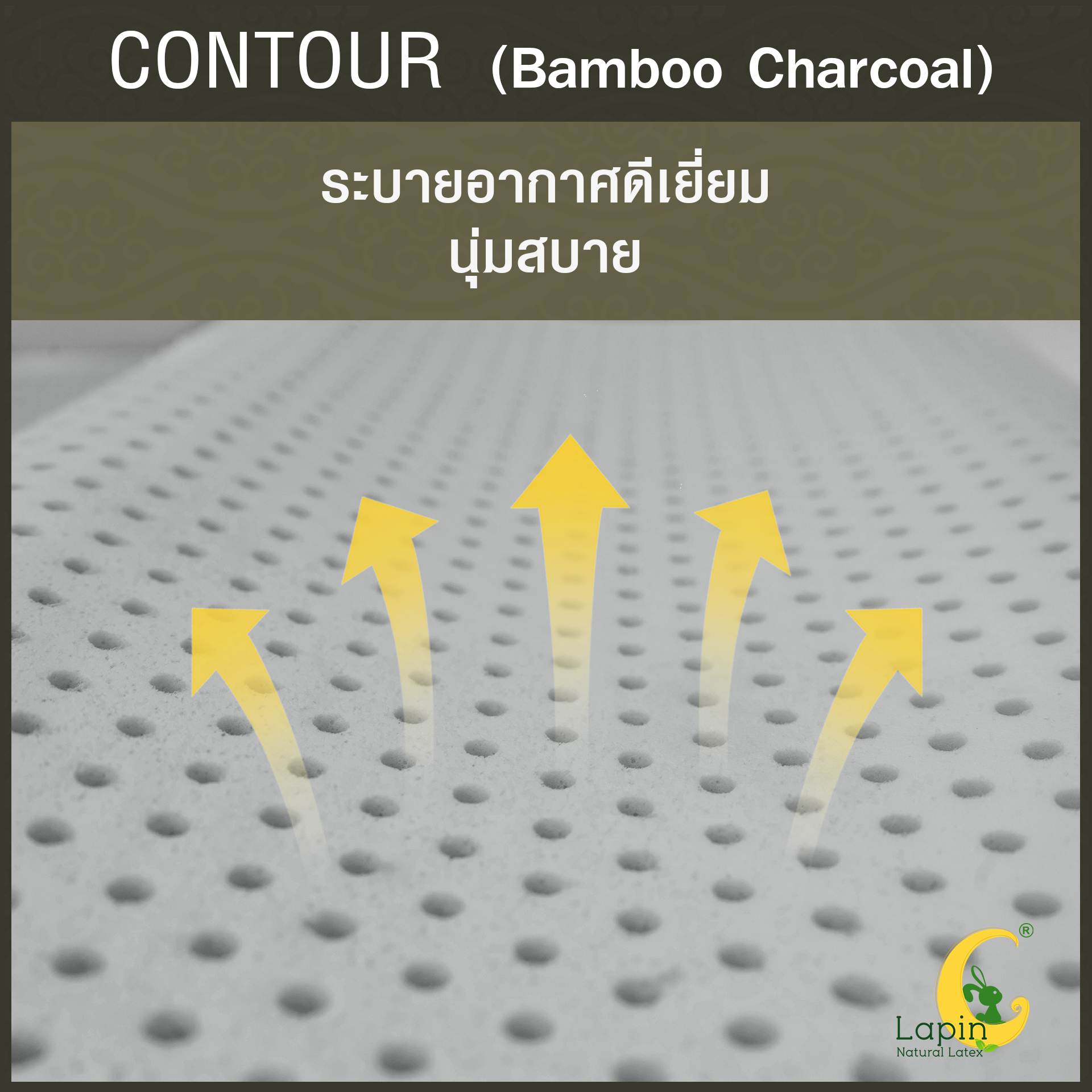 หมอนยางพาราแท้ 100% (LAPIN) รุ่น คอนทัวร์ ผสมชาโคล (C + Charcoal)