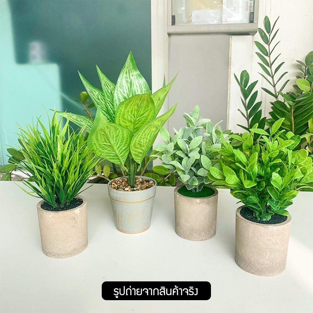 ต้นไม้ปลอม ต้นไม้ตกแต่ง ของแต่งสวน