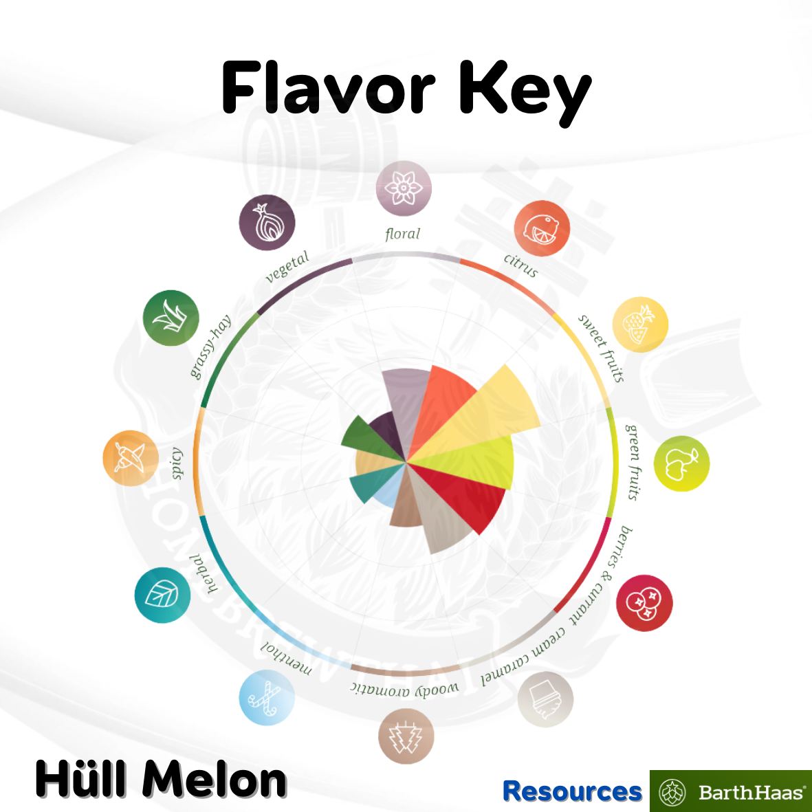 Huell Melon Hops GER (1oz)เฮอร์ลอร์ทัวร์ เมลอน ฮอปส์ By