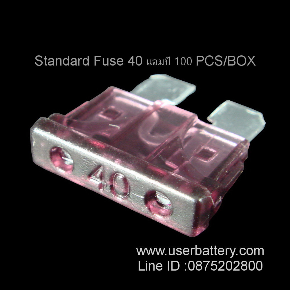 Standard Fuse 40 แอมป์ 100 PCS/BOX