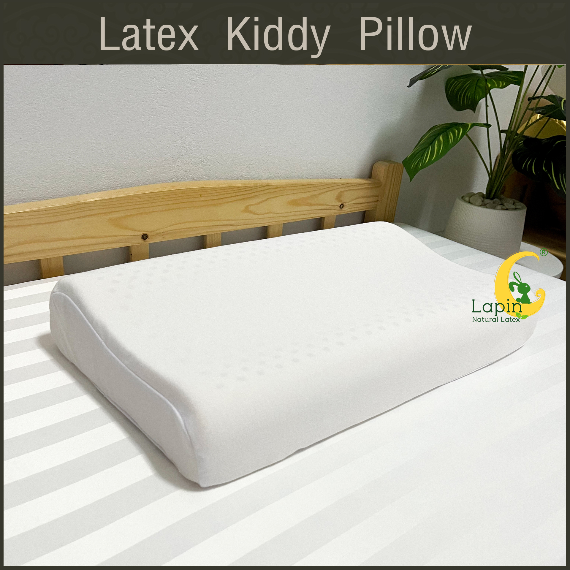 Latex Kiddy Pillow หมอนยางพาราสำหรับเด็ก 3 ขวบขึ้นไป (ลายกวางเรนเดียร์)