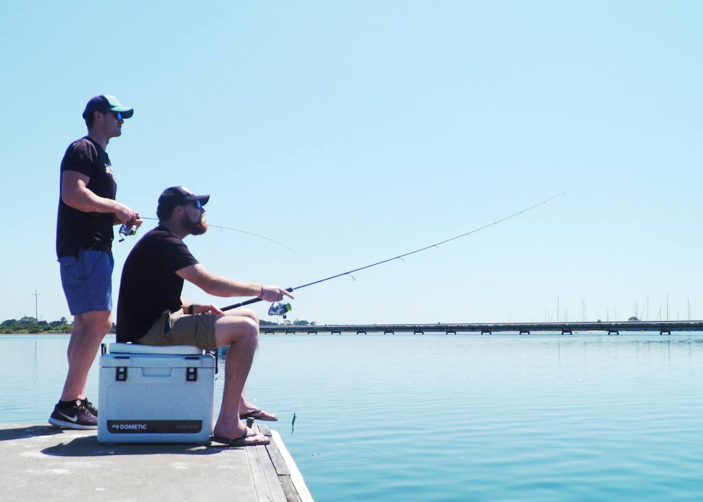 Dometic CI55 Cool Ice Box ถังเก็บความเย็น ขนาด 56 ลิตร