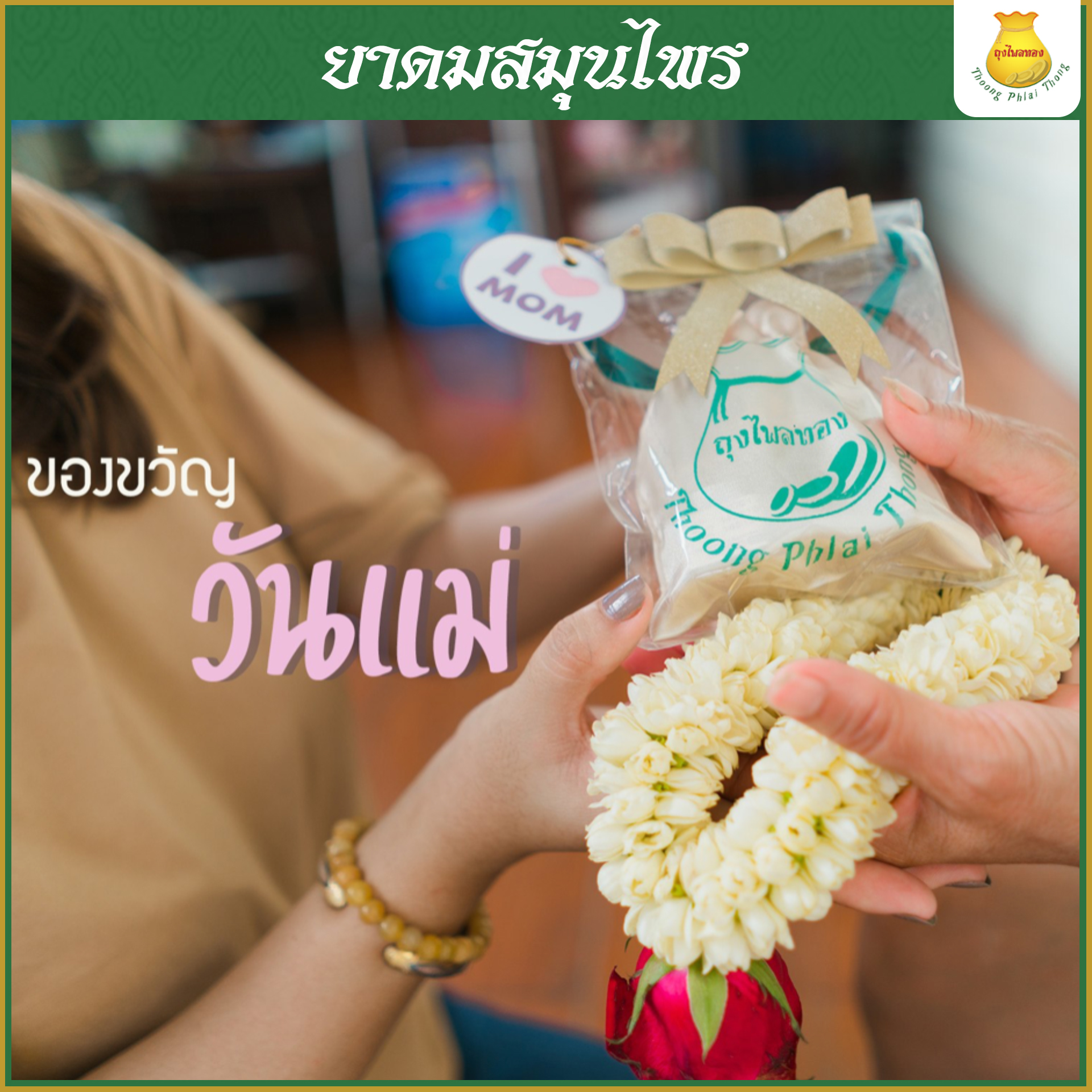 6กระปุก ยาดมสมุนไพรตราถุงไพลทอง ใช้ยาวนานถึง 2 ปี