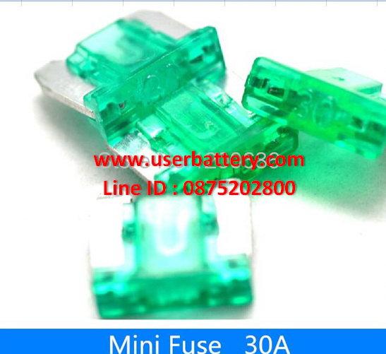 ฟิวส์เสียบ วีโก้ 30 แอมป์ สีเขียว