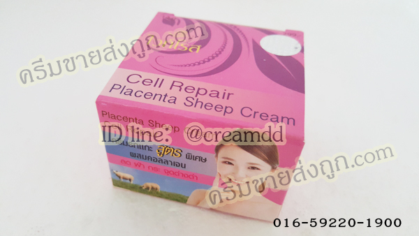 ครีมรกแกะสูตรพิเศษ ผสมคอลลาเจน ไวท์โรส (กล่องชมพู) โฉมใหม่ ครีมไวท์โรสของแท้ราคาส่งถูก Placenta Sheep & collagen Cream Cell Repair