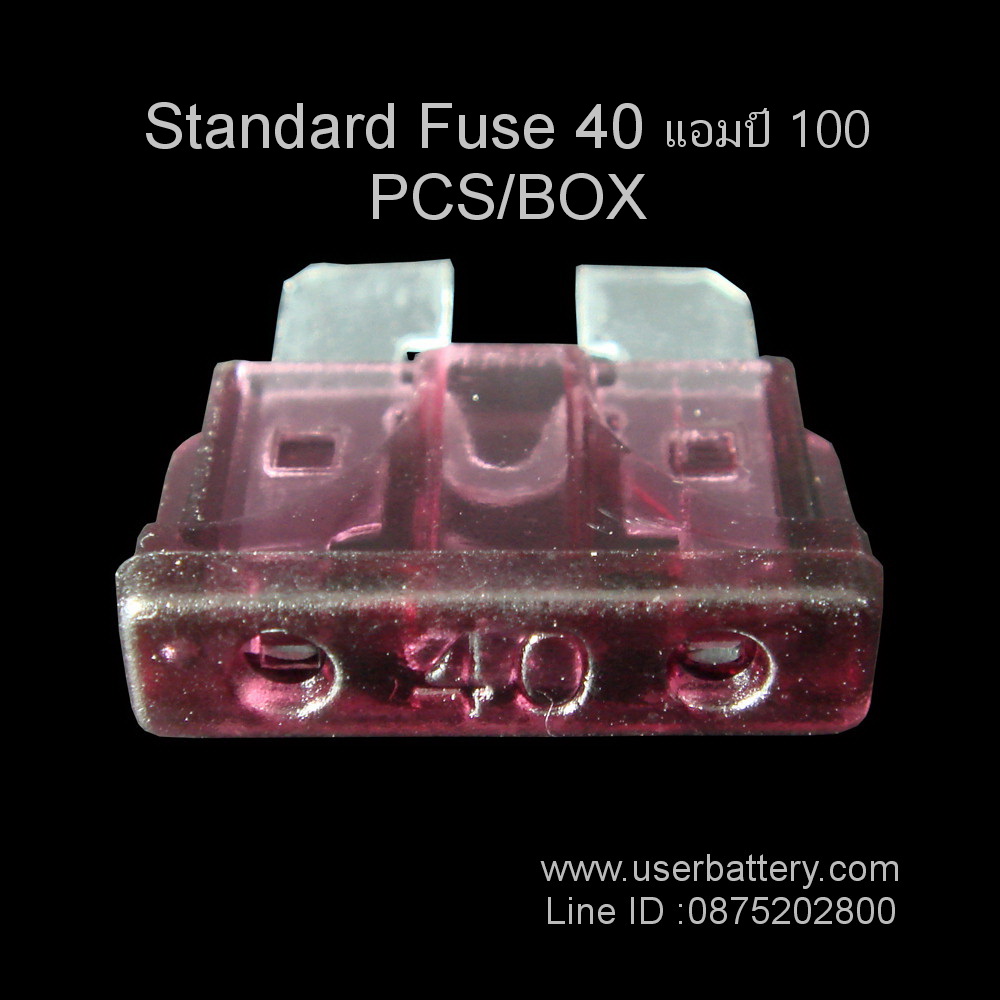 Standard Fuse 40 แอมป์ 100 PCS/BOX