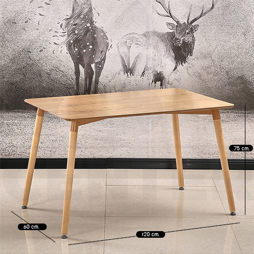 โต๊ะอเนกประสงค์สไตล์โมเดิร์น ทรงสี่เหลี่ยมผืนผ้า ขนาด 60x120 cm.