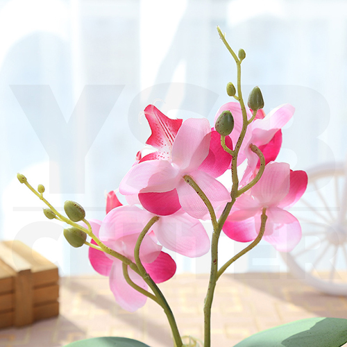 ต้นไม้ปลอม ต้นไม้แต่งบ้าน ดอกไม้พลาสติก ต้นไม้พลาสติก ดอกไม้ประดิษฐ์ (ต้นกล้วยไม้) ขนาด 9.5x8x19 CM.