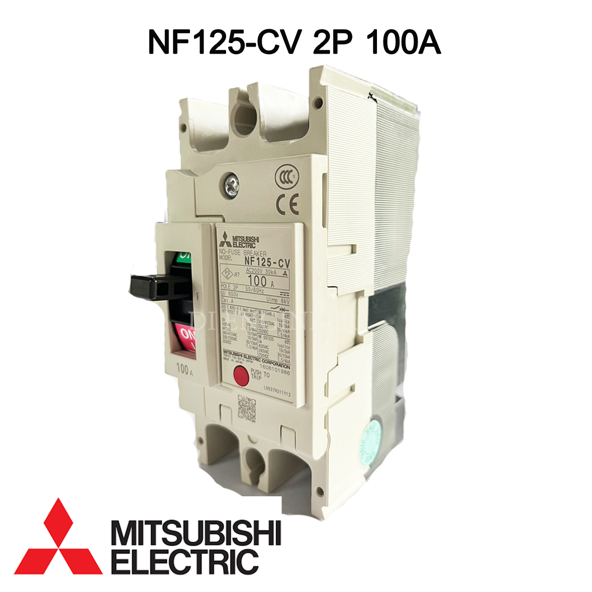 Mitsubishi NF125-CV 2P 100A