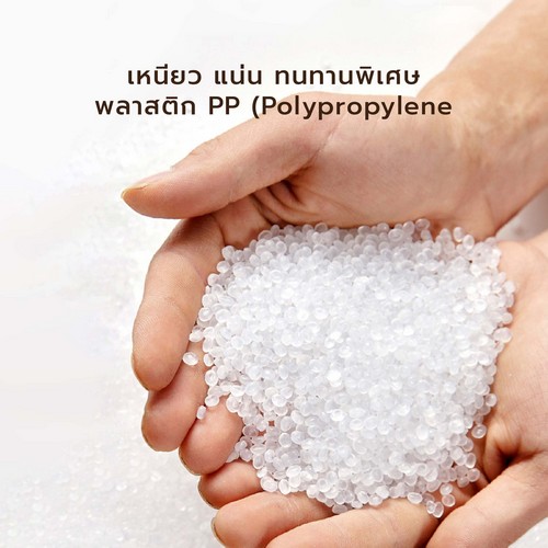เก้าอี้ มีพนักพิง วางแขน เฟอร์นิเจอร์แต่งบ้าน ที่นั่งพลาสติกPP รุ่น YL228 - YL234