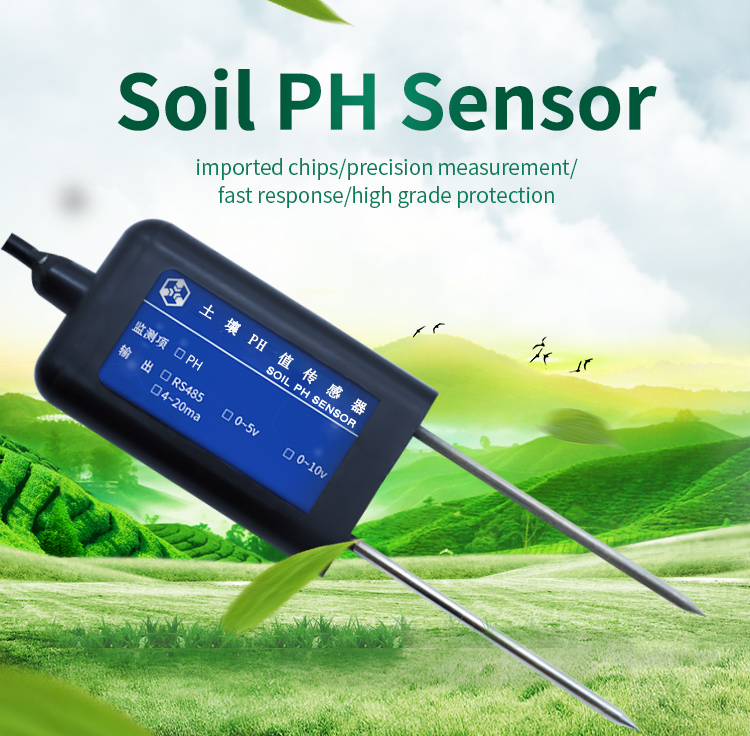 PH soil sensor probe (RS485)