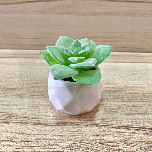 ต้นไม้ปลอม ต้นไม้แต่งบ้าน ดอกไม้พลาสติก ต้นไม้พลาสติก ดอกไม้ประดิษฐ์ (เซ็ต 5 ชิ้น)