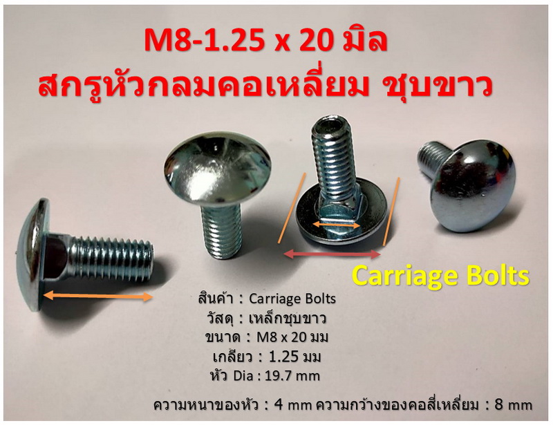10 ชิ้น M8-1.25 x 20 มิล สกรูหัวกลมคอเหลี่ยม ระบบมิล ชุบขาว Carriage Bolts