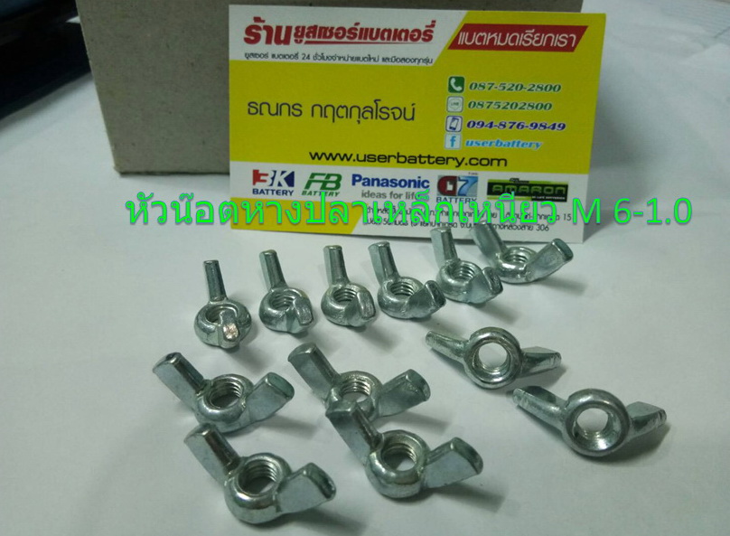 หัวน๊อตหางปลาเหล็กเหนียว M 6 -1.0 บรรจุ 12 ตัว /ถุง