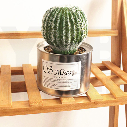 CASSA กระบองเพชร ต้นกระบองเพชร ต้นไม้ประดิษฐ์ ต้นไม้ปลอม พร้อมกระถาง รุ่น B587-C2