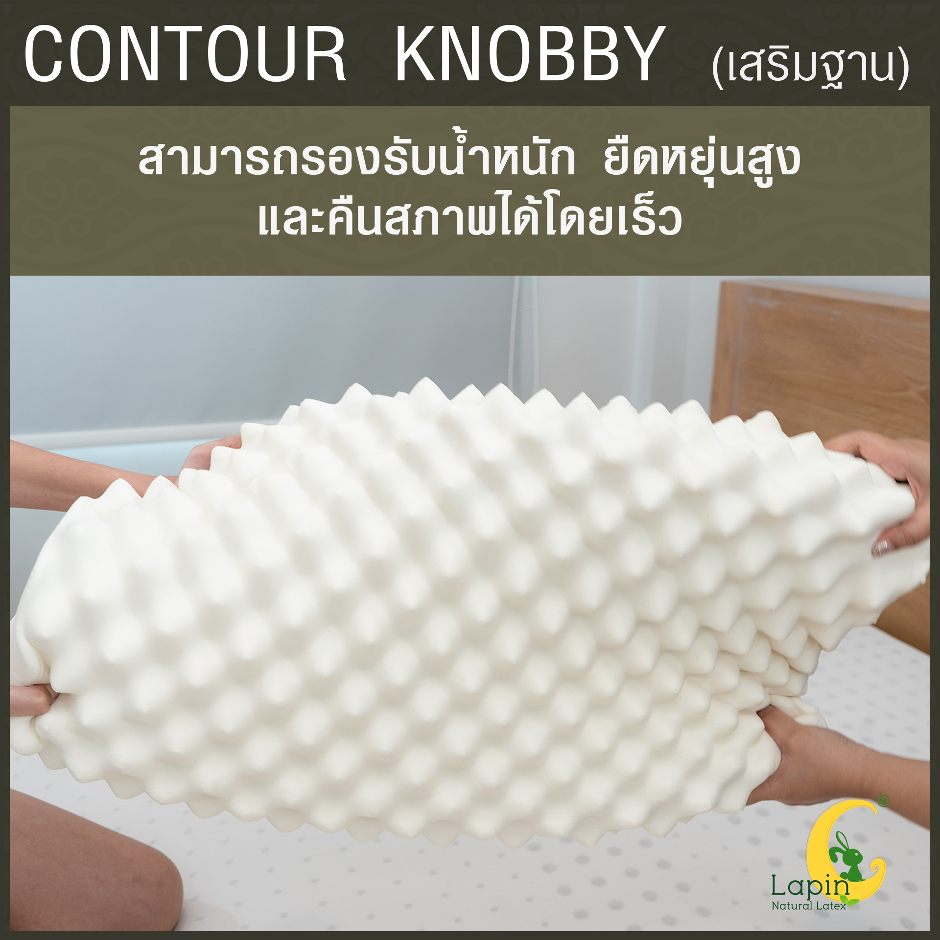 หมอนยางพาราแท้ 100% (LAPIN) รุ่น คอนทัวร์ น็อบบี้ (CK + เสริมฐาน 1 นิ้ว )