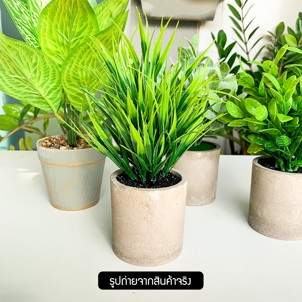 ต้นไม้ปลอม ต้นไม้ตกแต่ง ของแต่งสวน