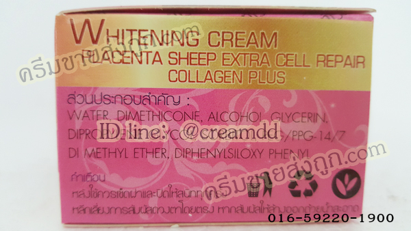 ครีมรกแกะสูตรพิเศษ ผสมคอลลาเจน ไวท์โรส (กล่องชมพู) โฉมใหม่ ครีมไวท์โรสของแท้ราคาส่งถูก Placenta Sheep & collagen Cream Cell Repair