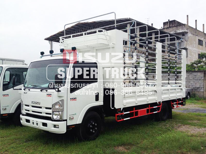 ISUZU NQR แบบกระบะคอก (ช่วงต่อยาว 5.6เมตร)