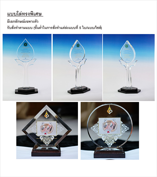 โล่รูปแบบพิเศษ อื่นๆ