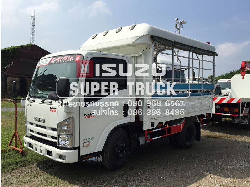 ISUZU NMR แบบกระบะคอก (ช่วงต่อยาว 3เมตร)