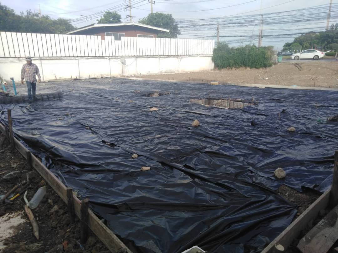 หน้างาน เสรีไทย