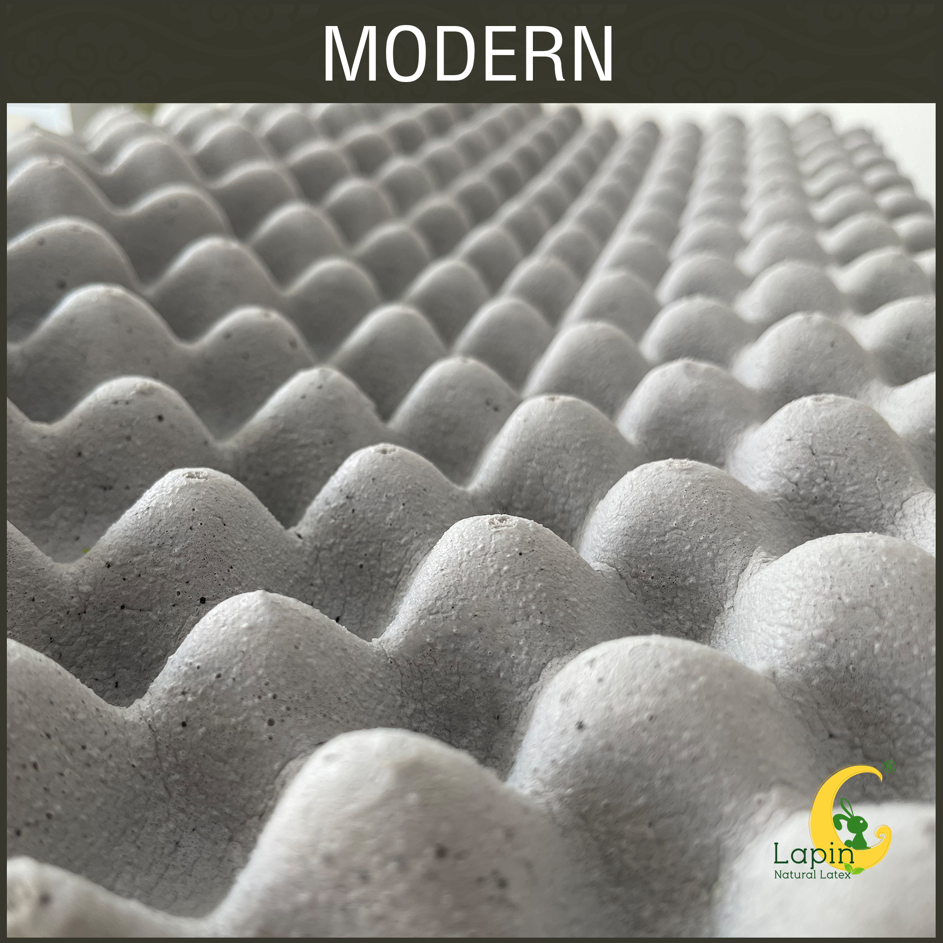 หมอนยางพารารุ่น Modern Latex Pillows รุ่น คอนทัวร์น็อบบี้ 1แถม1 by LAPIN