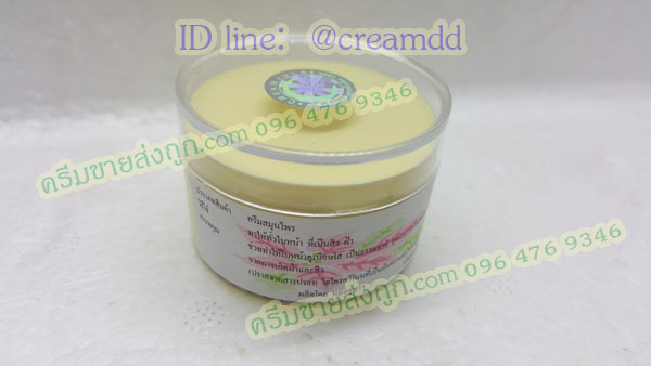 ครีมหมอจุฬา JULA Cream ตลับใส เนื้อสีครีม ของแท้ ราคาส่งขายถูก