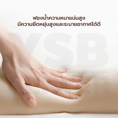 เก้าอี้โซฟา เบาะนุ่ม กำมะหยี่ นั่งสบาย โครงสร้างแข็งแรง YL0269 - YL0270