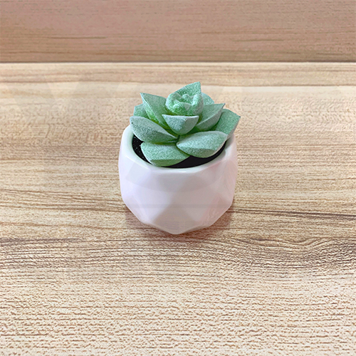 ต้นไม้ปลอม ต้นไม้แต่งบ้าน ดอกไม้พลาสติก ต้นไม้พลาสติก ดอกไม้ประดิษฐ์ (เซ็ต 5 ชิ้น)