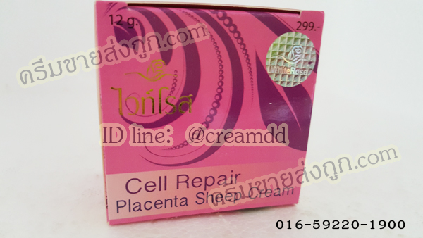 ครีมรกแกะสูตรพิเศษ ผสมคอลลาเจน ไวท์โรส (กล่องชมพู) โฉมใหม่ ครีมไวท์โรสของแท้ราคาส่งถูก Placenta Sheep & collagen Cream Cell Repair