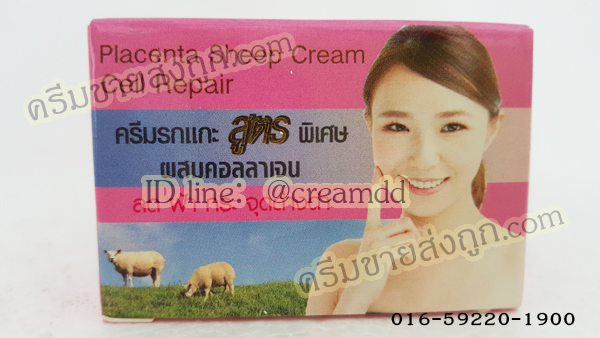 ครีมรกแกะสูตรพิเศษ ผสมคอลลาเจน ไวท์โรส (กล่องชมพู) โฉมใหม่ ครีมไวท์โรสของแท้ราคาส่งถูก Placenta Sheep & collagen Cream Cell Repair