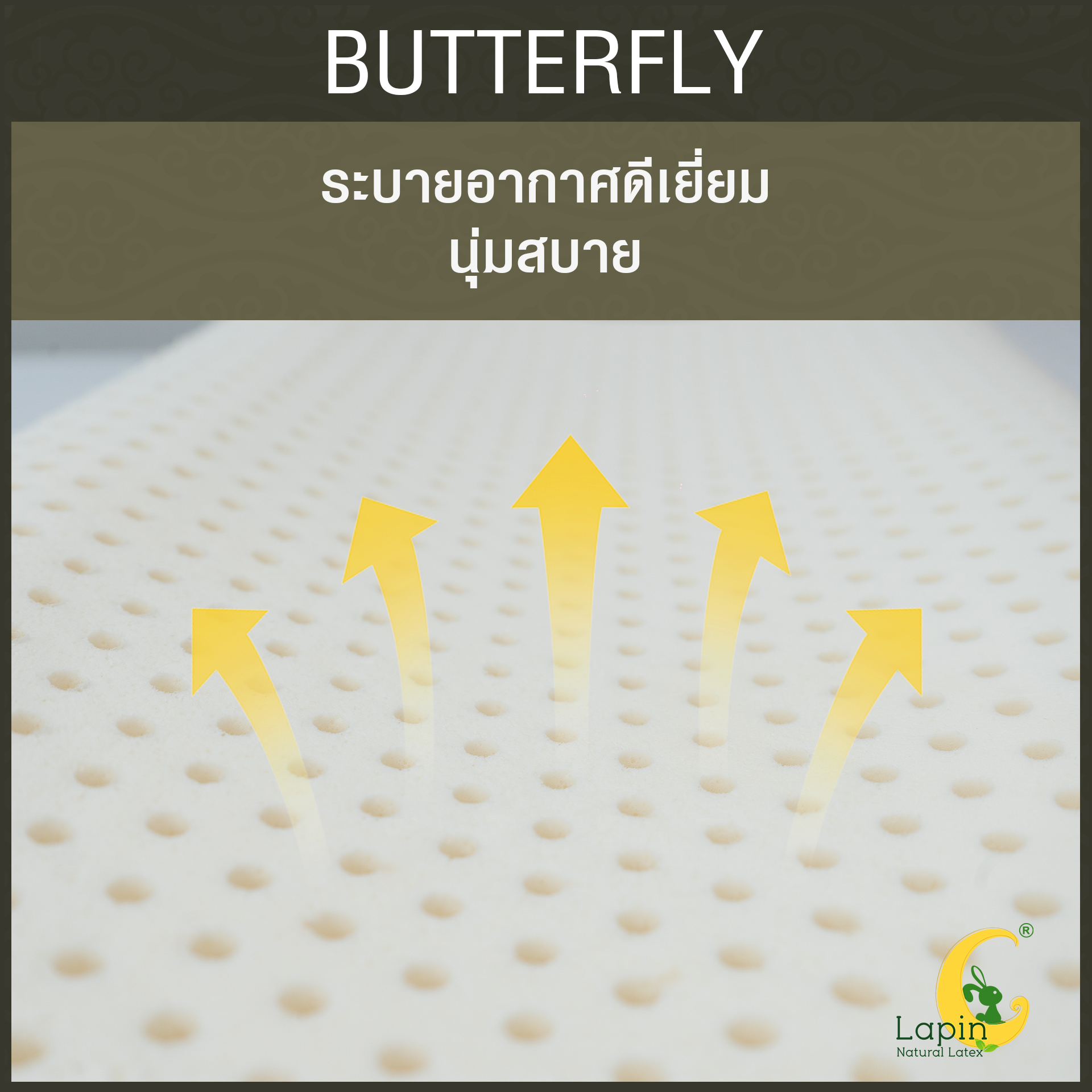 หมอนยางพาราแท้100% (LAPIN) รุ่น Butterfly พร้อมปลอกหมอน