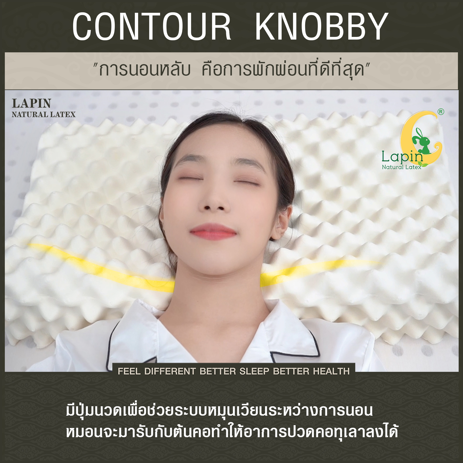 หมอนยางพาราแท้ 100% (LAPIN) รุ่น คอนทัวร์ น็อบบี้ (CK) (สินค้าขายดี)