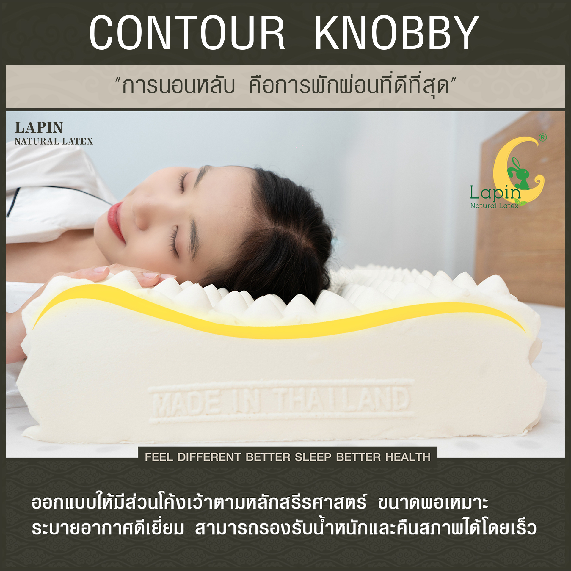 หมอนยางพาราแท้ 100% (LAPIN) รุ่น คอนทัวร์ น็อบบี้ (CK) (สินค้าขายดี)