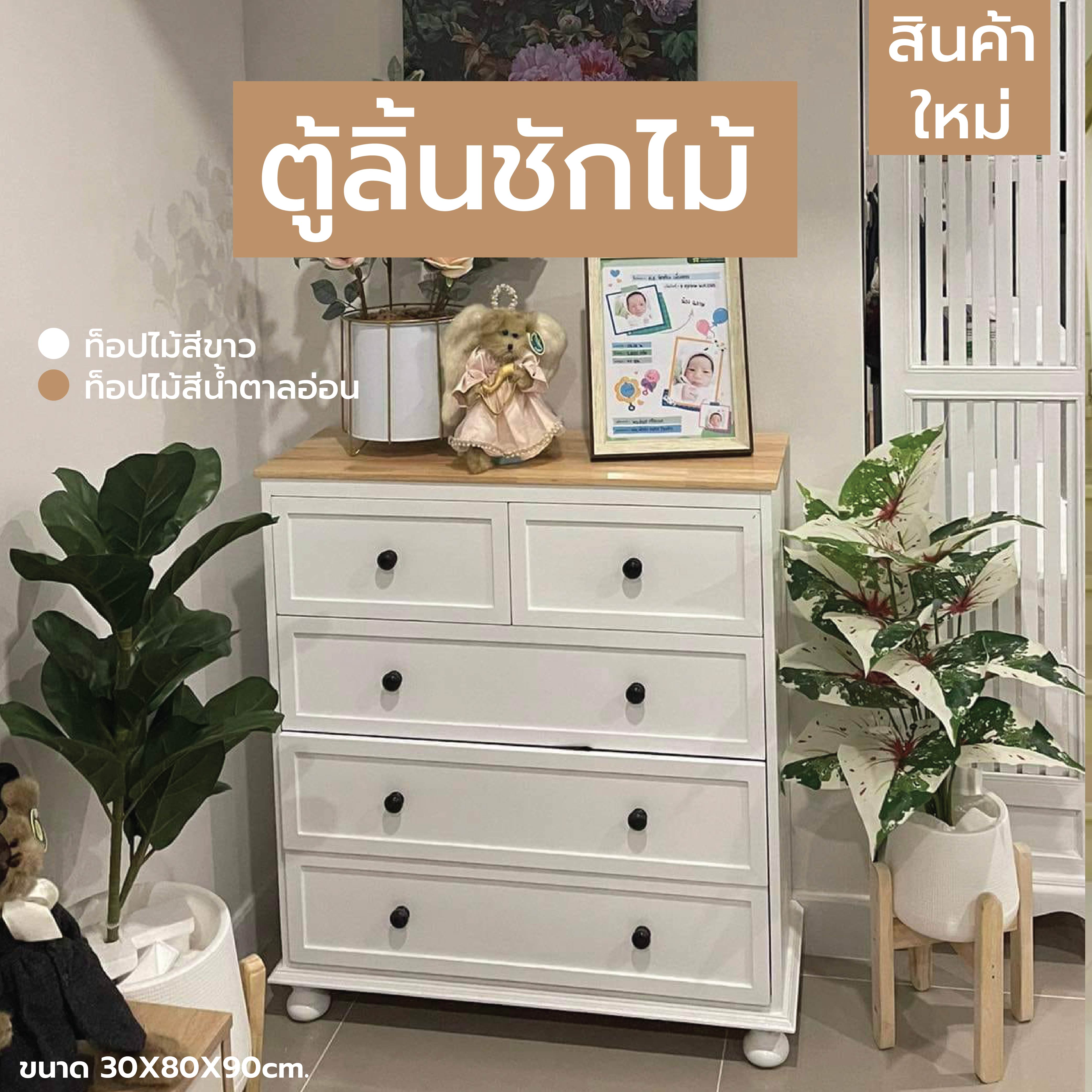 ชั้นวางของ ลิ้นชักเก็บของ ตู้ใส่ของ ชั้นวางสไตล์มินิมอล (ไม่ต้องประกอบ) PT010 - PT011