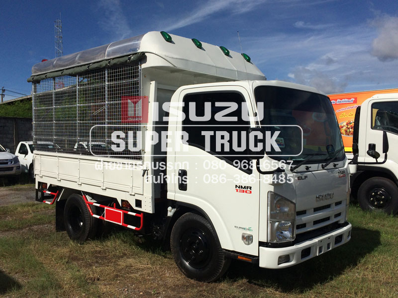 ISUZU NMR แบบกระบะคอก (ช่วงต่อยาว 3เมตร)