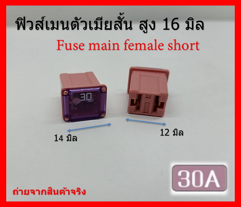 2 ชิ้น 30 แอมป์ DC 9V-32V.ฟิวส์เมนรถยนต์ PEC ตัวเมียสั้น ความสูง 16 มิล Fuse main female short สีชมพู Pink รหัส 9D3302