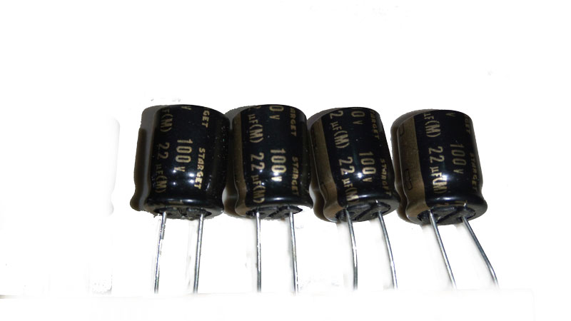 22uF 100v ELNA STARGET Grade Audio Capacitor