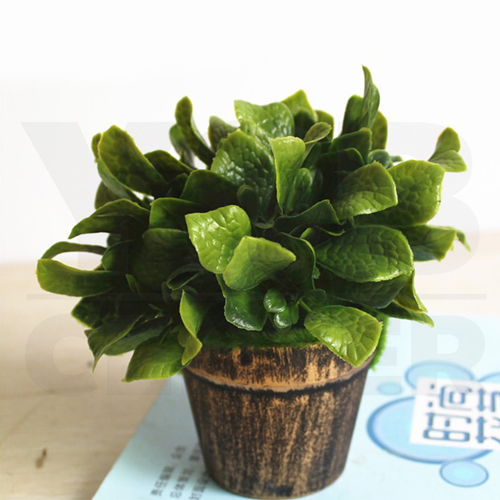 ต้นไม้ปลอม ต้นไม้แต่งบ้าน ดอกไม้พลาสติก ต้นไม้พลาสติก ดอกไม้ประดิษฐ์ (เซ็ต 3 ชิ้น) ขนาด 10x8x16 CM.