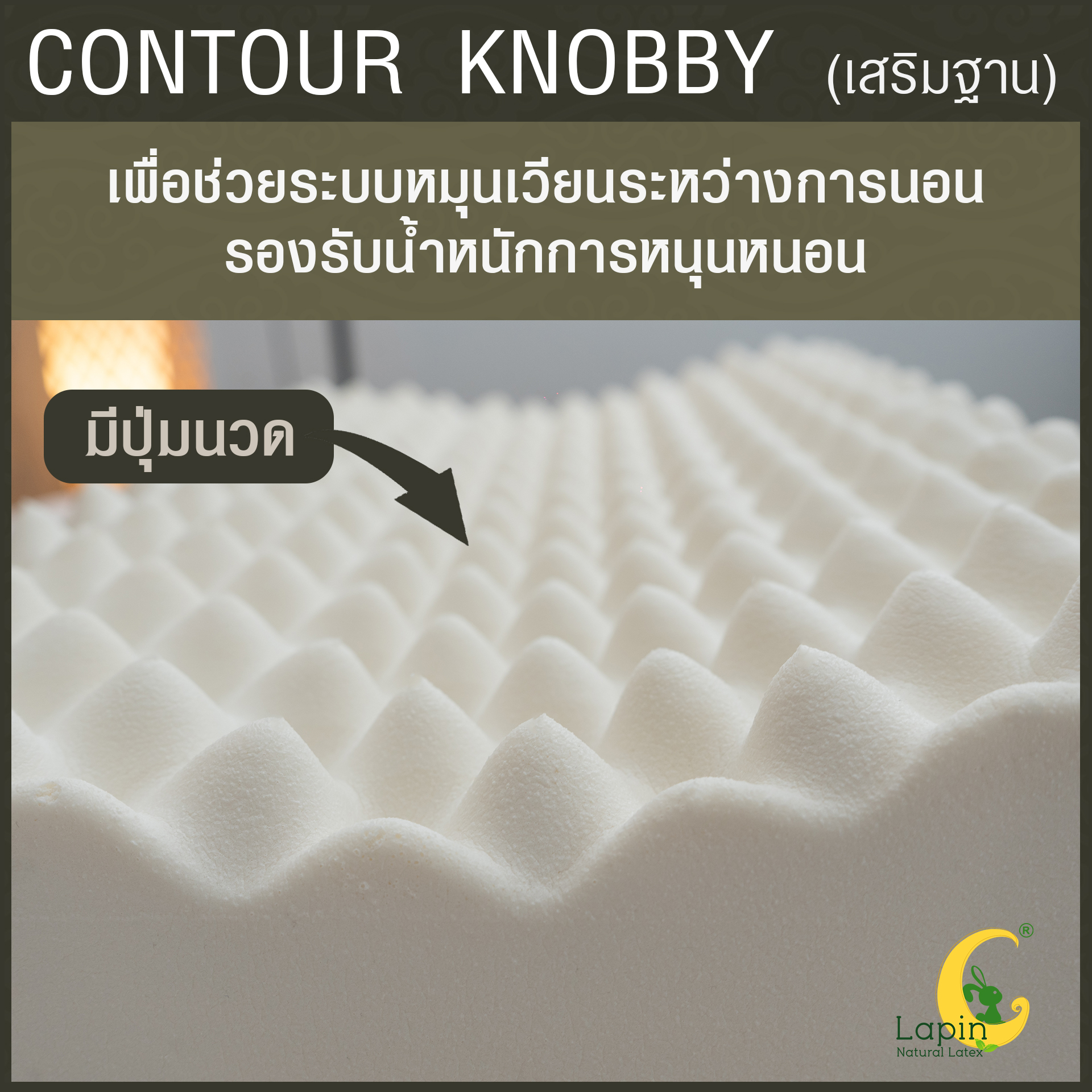 หมอนยางพาราแท้ 100% (LAPIN) รุ่น คอนทัวร์ น็อบบี้ (CK + เสริมฐาน 1 นิ้ว )