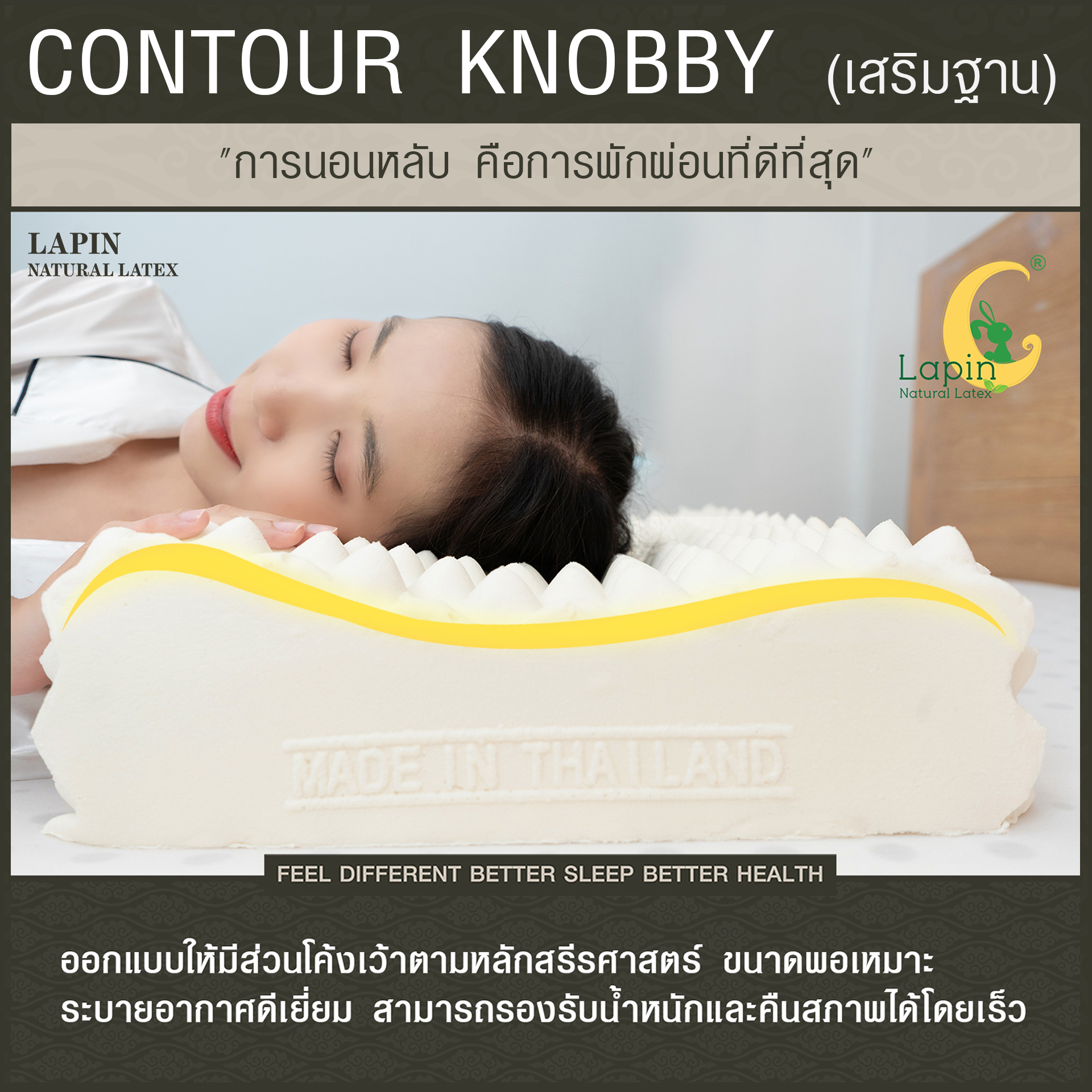 หมอนยางพาราแท้ 100% (LAPIN) รุ่น คอนทัวร์ น็อบบี้ (CK + เสริมฐาน 1 นิ้ว )